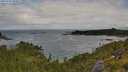./images/calvert/foggy-cove/20250702/foggy-cove20250702_090011M.jpg