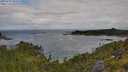 ./images/calvert/foggy-cove/20250702/foggy-cove20250702_090510M.jpg
