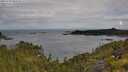./images/calvert/foggy-cove/20250702/foggy-cove20250702_092510M.jpg