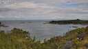 ./images/calvert/foggy-cove/20250702/foggy-cove20250702_094010M.jpg