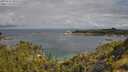 ./images/calvert/foggy-cove/20250702/foggy-cove20250702_095508M.jpg