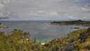 ./images/calvert/foggy-cove/20250702/foggy-cove20250702_100011M.jpg