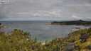 ./images/calvert/foggy-cove/20250702/foggy-cove20250702_100510M.jpg