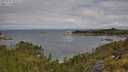 ./images/calvert/foggy-cove/20250702/foggy-cove20250702_101511M.jpg