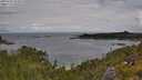 ./images/calvert/foggy-cove/20250702/foggy-cove20250702_104010M.jpg
