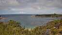 ./images/calvert/foggy-cove/20250702/foggy-cove20250702_120508M.jpg
