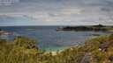 ./images/calvert/foggy-cove/20250702/foggy-cove20250702_122509M.jpg