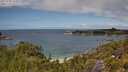 ./images/calvert/foggy-cove/20250702/foggy-cove20250702_132011M.jpg