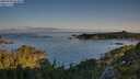 ./images/calvert/foggy-cove/20250703/foggy-cove20250703_064011M.jpg