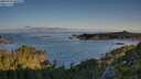 ./images/calvert/foggy-cove/20250703/foggy-cove20250703_065011M.jpg