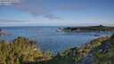 ./images/calvert/foggy-cove/20250703/foggy-cove20250703_075509M.jpg