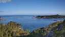 ./images/calvert/foggy-cove/20250703/foggy-cove20250703_080510M.jpg