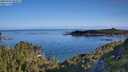 ./images/calvert/foggy-cove/20250703/foggy-cove20250703_082011M.jpg