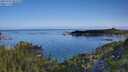./images/calvert/foggy-cove/20250703/foggy-cove20250703_082510M.jpg