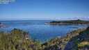 ./images/calvert/foggy-cove/20250703/foggy-cove20250703_090510M.jpg