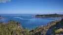 ./images/calvert/foggy-cove/20250703/foggy-cove20250703_092011M.jpg
