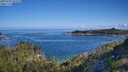 ./images/calvert/foggy-cove/20250703/foggy-cove20250703_093510M.jpg