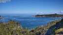 ./images/calvert/foggy-cove/20250703/foggy-cove20250703_094010M.jpg
