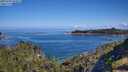 ./images/calvert/foggy-cove/20250703/foggy-cove20250703_094511M.jpg