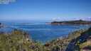 ./images/calvert/foggy-cove/20250703/foggy-cove20250703_095009M.jpg