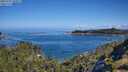 ./images/calvert/foggy-cove/20250703/foggy-cove20250703_100011M.jpg