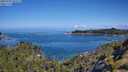 ./images/calvert/foggy-cove/20250703/foggy-cove20250703_101510M.jpg
