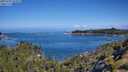 ./images/calvert/foggy-cove/20250703/foggy-cove20250703_102012M.jpg