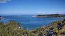 ./images/calvert/foggy-cove/20250703/foggy-cove20250703_102509M.jpg