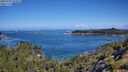 ./images/calvert/foggy-cove/20250703/foggy-cove20250703_103008M.jpg