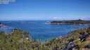 ./images/calvert/foggy-cove/20250703/foggy-cove20250703_104011M.jpg