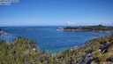 ./images/calvert/foggy-cove/20250703/foggy-cove20250703_105010M.jpg