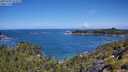 ./images/calvert/foggy-cove/20250703/foggy-cove20250703_111008M.jpg