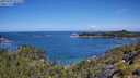./images/calvert/foggy-cove/20250703/foggy-cove20250703_111510M.jpg