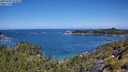 ./images/calvert/foggy-cove/20250703/foggy-cove20250703_112008M.jpg