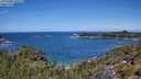 ./images/calvert/foggy-cove/20250703/foggy-cove20250703_120510M.jpg