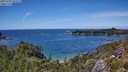 ./images/calvert/foggy-cove/20250703/foggy-cove20250703_141008M.jpg