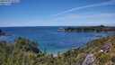 ./images/calvert/foggy-cove/20250703/foggy-cove20250703_144011M.jpg