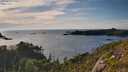 ./images/calvert/foggy-cove/20250703/foggy-cove20250703_190007M.jpg