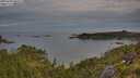 ./images/calvert/foggy-cove/20250704/foggy-cove20250704_060509M.jpg