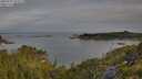 ./images/calvert/foggy-cove/20250704/foggy-cove20250704_073509M.jpg