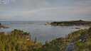 ./images/calvert/foggy-cove/20250704/foggy-cove20250704_080508M.jpg