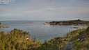 ./images/calvert/foggy-cove/20250704/foggy-cove20250704_081010M.jpg