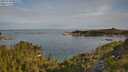 ./images/calvert/foggy-cove/20250704/foggy-cove20250704_082510M.jpg