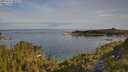./images/calvert/foggy-cove/20250704/foggy-cove20250704_083509M.jpg
