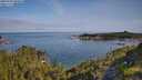 ./images/calvert/foggy-cove/20250704/foggy-cove20250704_090010M.jpg