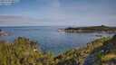 ./images/calvert/foggy-cove/20250704/foggy-cove20250704_090508M.jpg