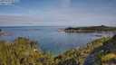 ./images/calvert/foggy-cove/20250704/foggy-cove20250704_091010M.jpg
