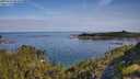 ./images/calvert/foggy-cove/20250704/foggy-cove20250704_092010M.jpg