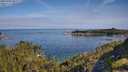 ./images/calvert/foggy-cove/20250704/foggy-cove20250704_092510M.jpg