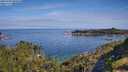 ./images/calvert/foggy-cove/20250704/foggy-cove20250704_094510M.jpg